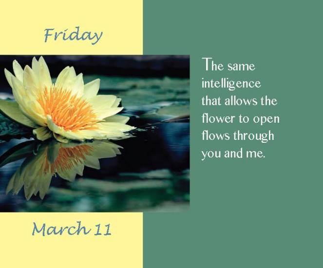 946119_10153942724971030_546183188323897888_n